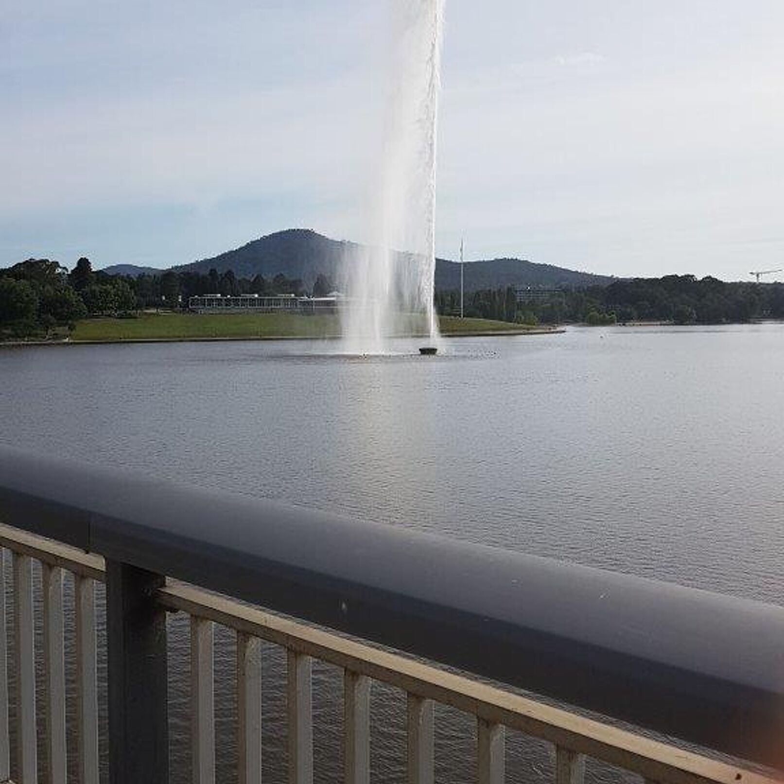 Romys Trainingswoche in Canberra 