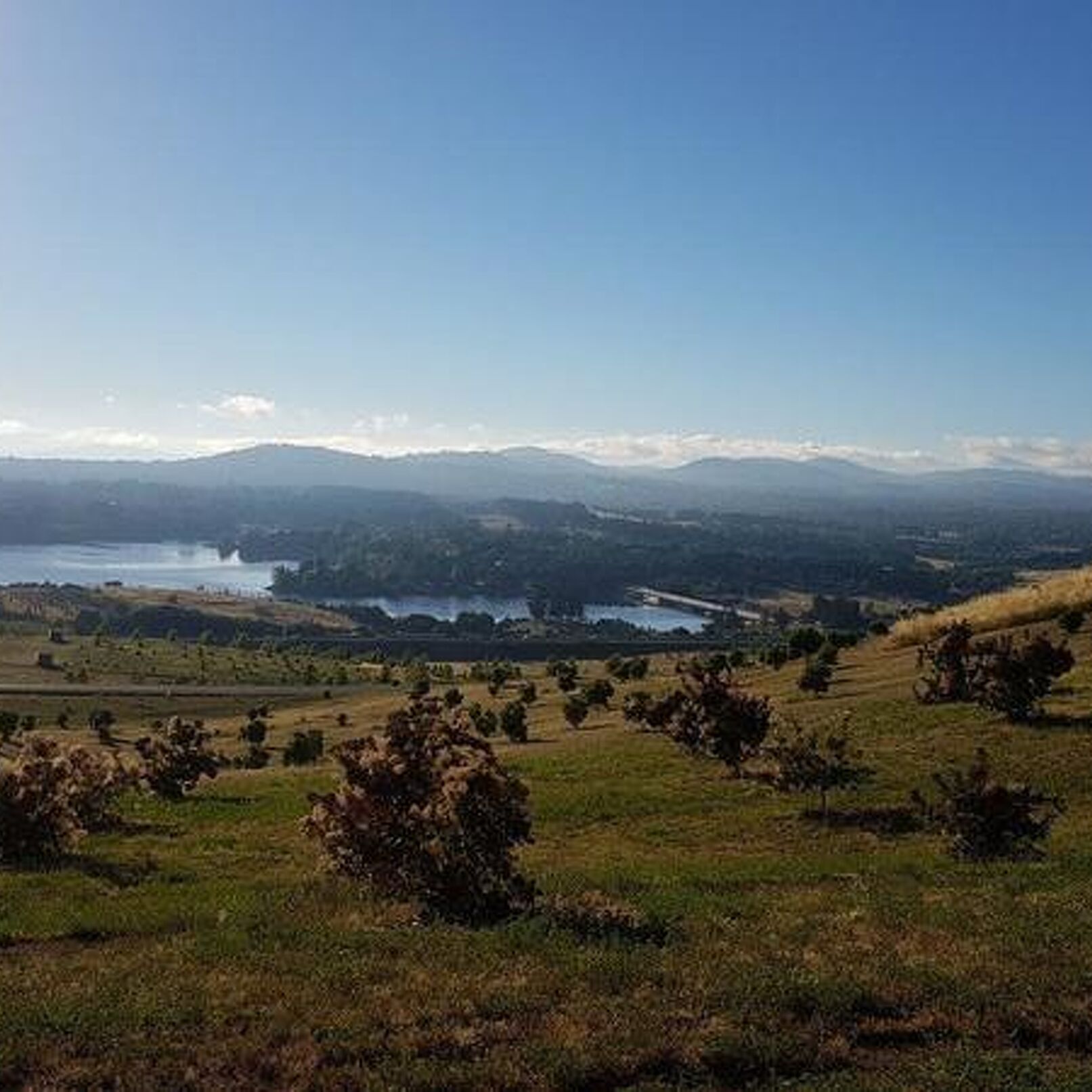 Romys Trainingswoche in Canberra 