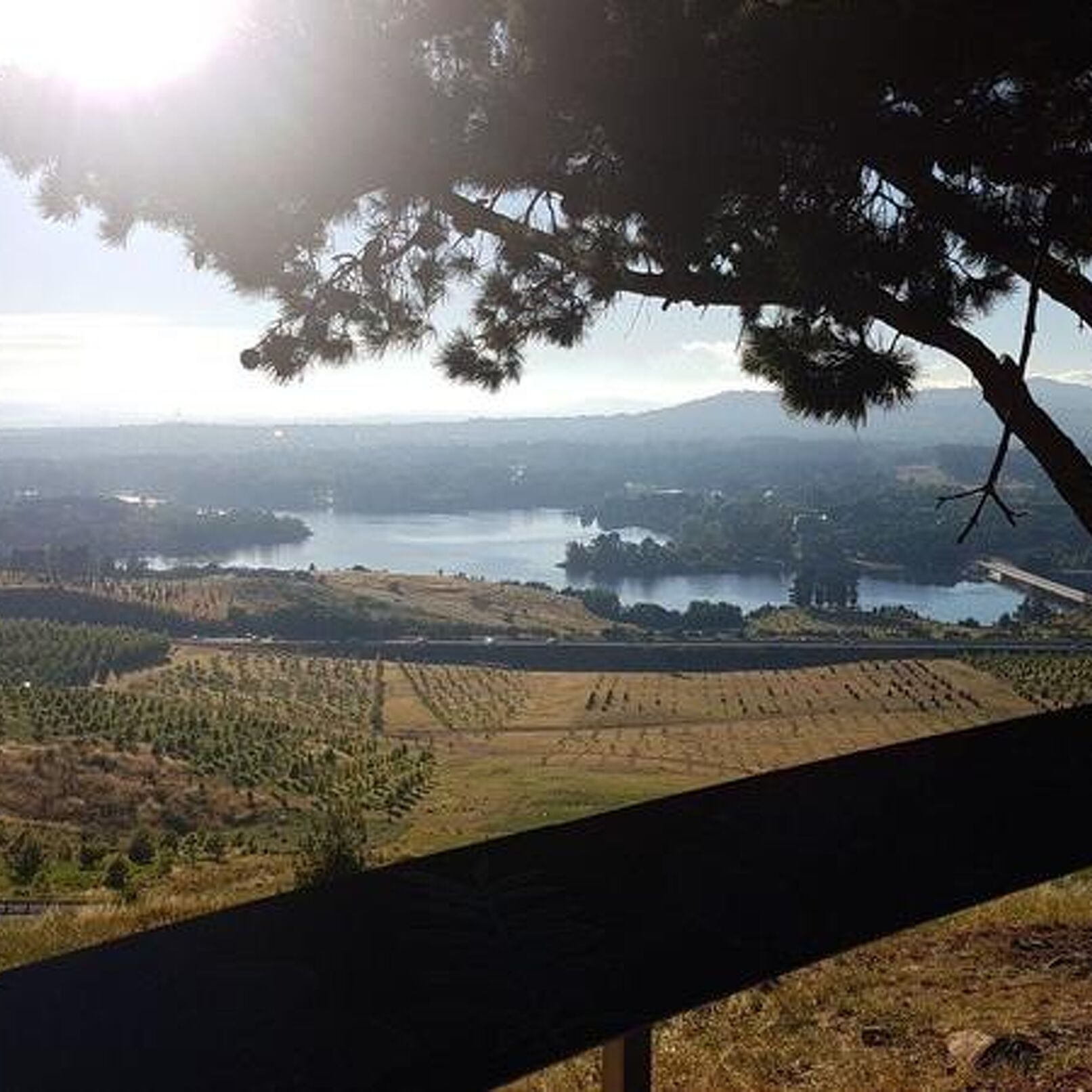 Romys Trainingswoche in Canberra 