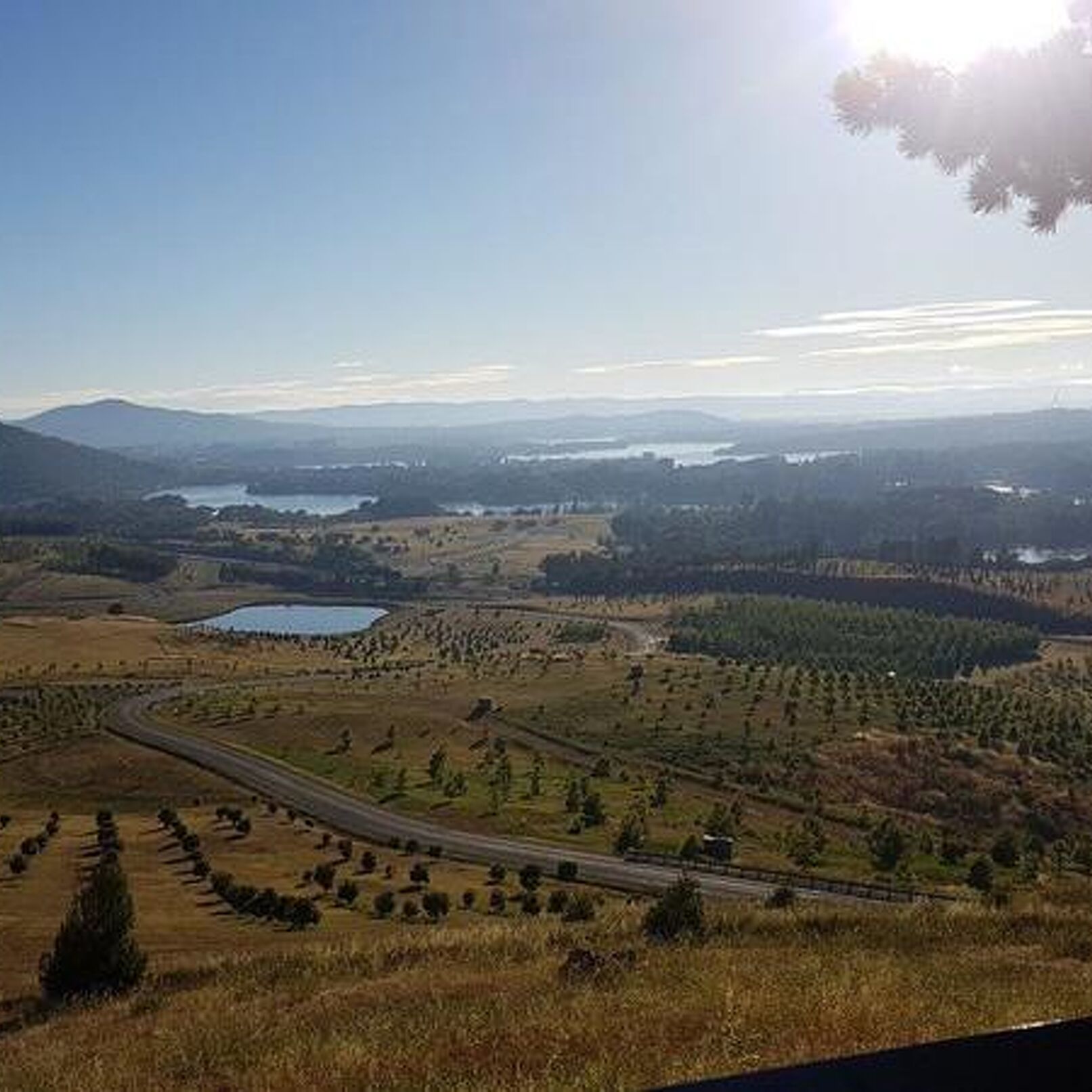 Romys Trainingswoche in Canberra 