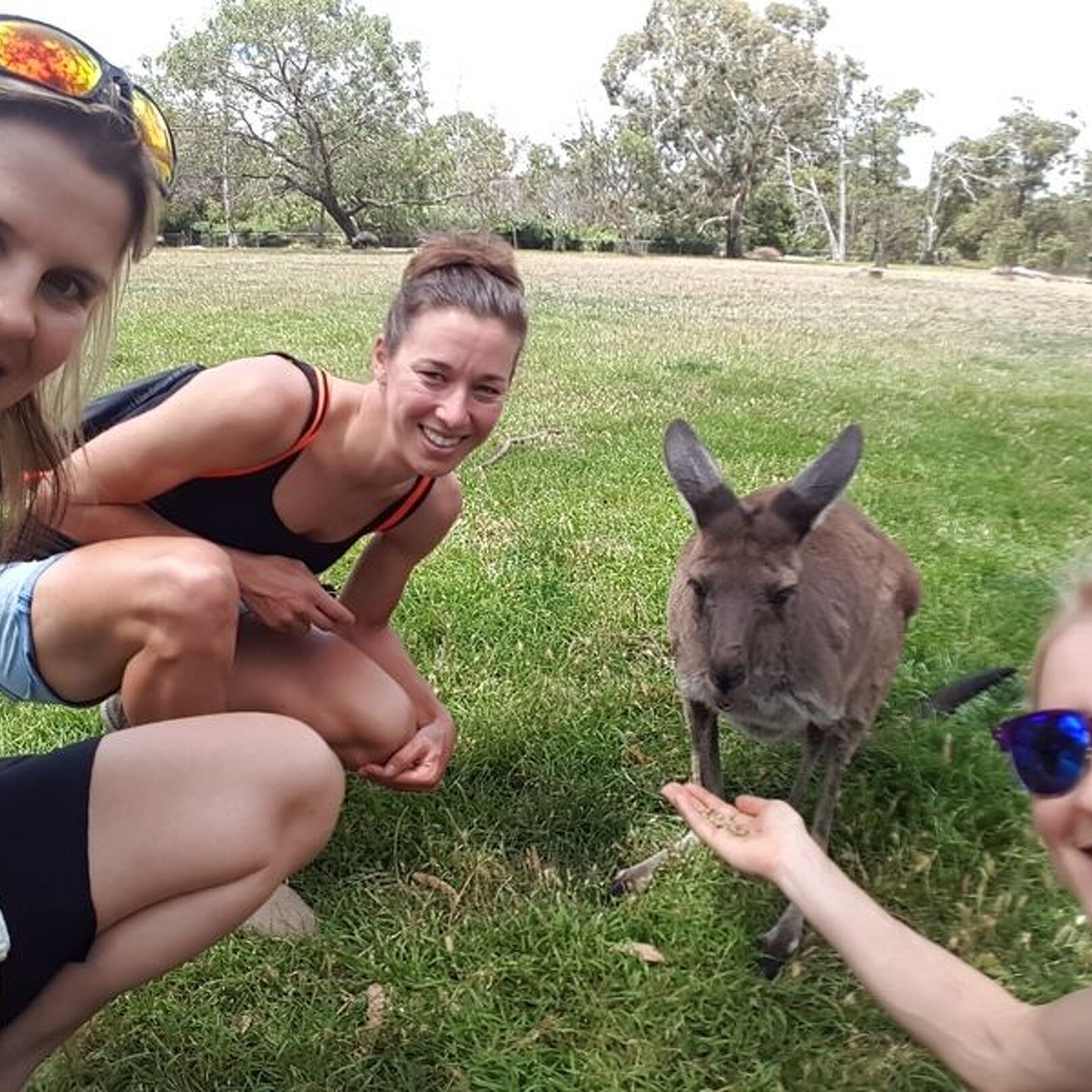 Rund um Adelaide