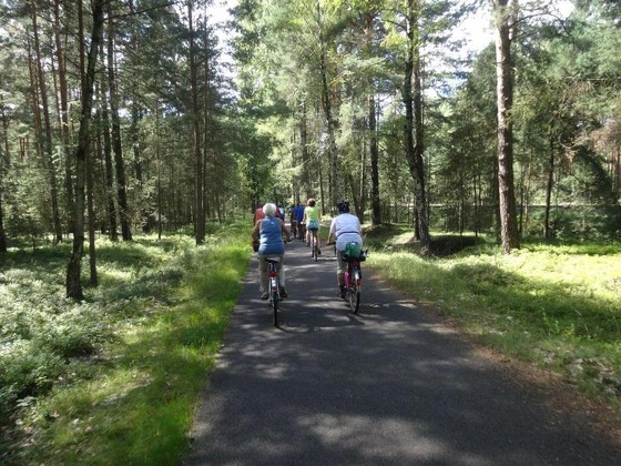 bis zum Branitzer Park