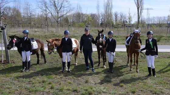 Reiten in Sedlitz