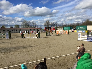 Reitturnier Kitzscher - Reitanlage Heuter (Bild: 5/8)