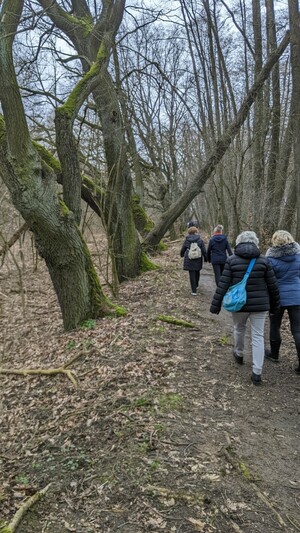 Winterwanderung 2022 (Bild: 5/8)