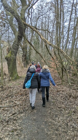 Winterwanderung 2022 (Bild: 3/8)