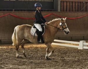 Breitensporttag in Horka am 28. April 2024 (Bild: 5/9)