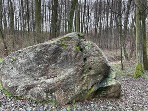 Freunde unter sich mit Gravel- und Mountain-Bike (Bild: 7/9)