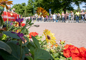 11. Forster Derny-Cup am 27. Mai 2023, Foto: Stephanie Oehme (Bild: 1/4)