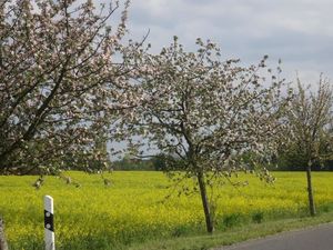 an der Nordumfahrung (Bild: 20/20)