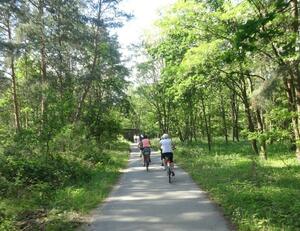 Auf dem Oder-Neiße-Radweg nach Hause